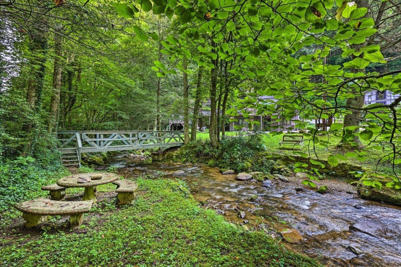 Roan Mountain Creekside Cabin Hike And Fish! Εξωτερικό φωτογραφία