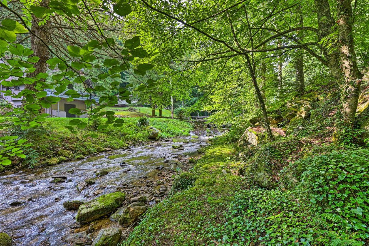 Roan Mountain Creekside Cabin Hike And Fish! Εξωτερικό φωτογραφία