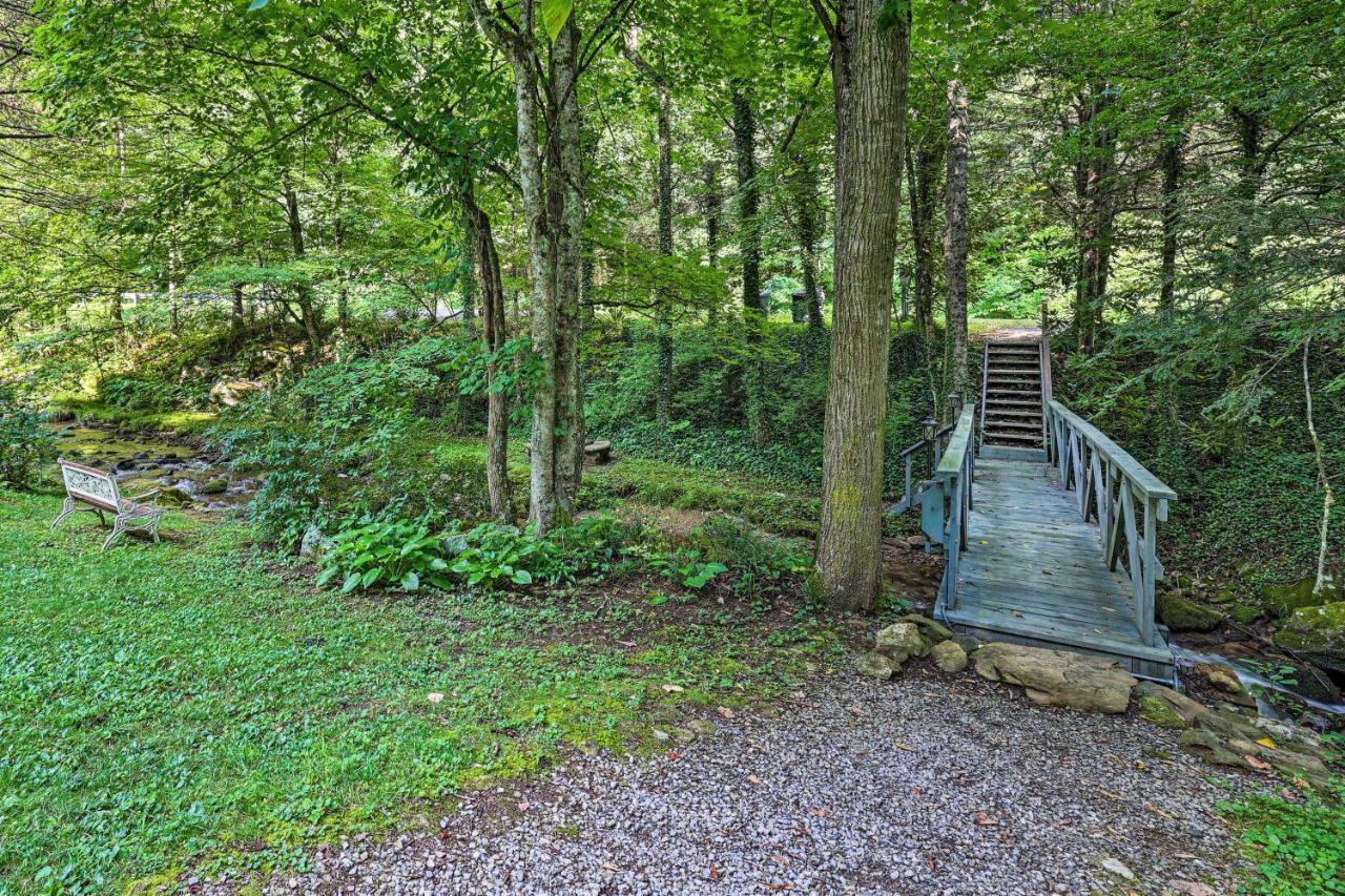 Roan Mountain Creekside Cabin Hike And Fish! Εξωτερικό φωτογραφία